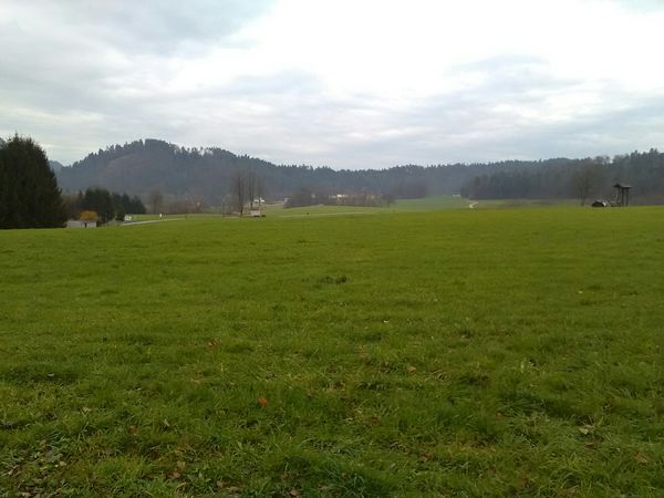 Foto 1: Aleš GROS