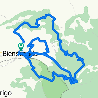 Marcha Bienservida 2010