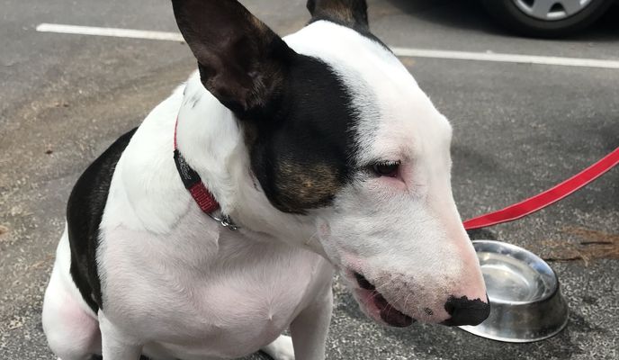 Foto 2 der Bikemap-Route "DayZee Walk" Foto 2 der Bikemap-Route "DayZee Walk"