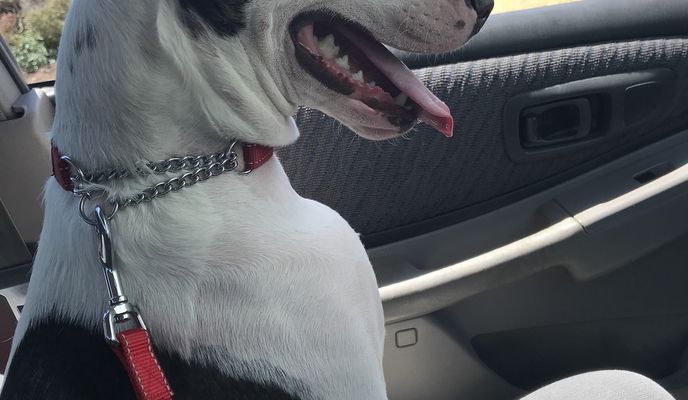 Foto 1 der Bikemap-Route "DayZee Walk" Foto 1 der Bikemap-Route "DayZee Walk"