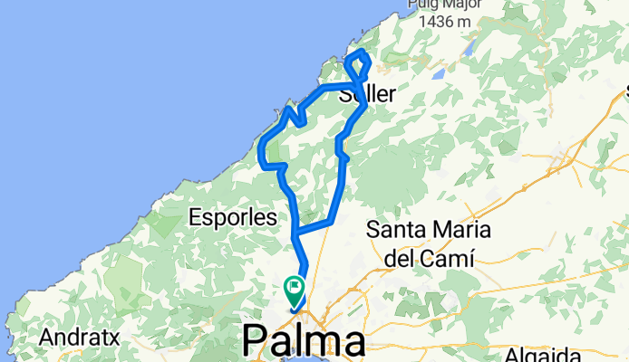 Soller, Figuera, Pedrisa