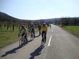 Hebe Bild 2 entlang der Bikemap-Route "KRAS 2010 " hervor