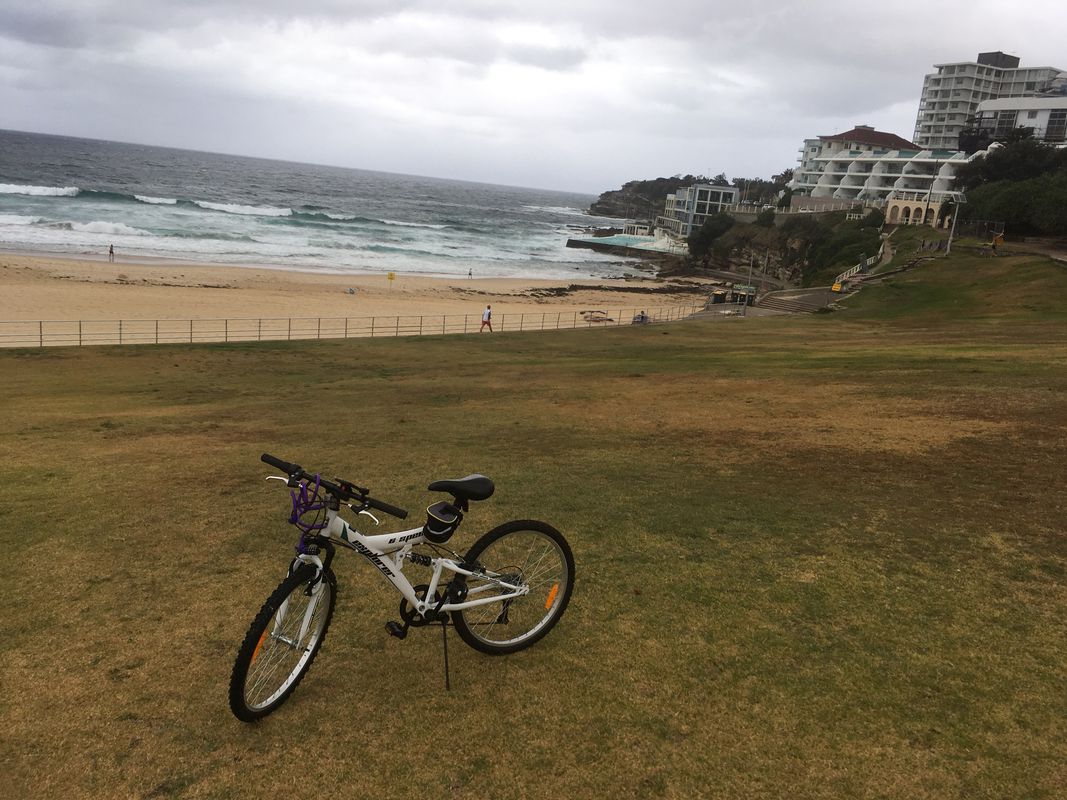Rushcutters bay to Bondi Beach Christmas day 2017