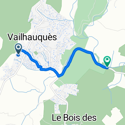 ESSAI VAILHAUQUES 2