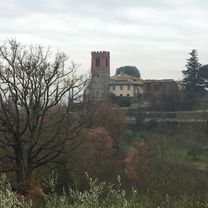tosi pelago pontassieve leccio e rit.