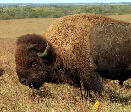 Lindsborg to Maxwell Wildlife Refuge