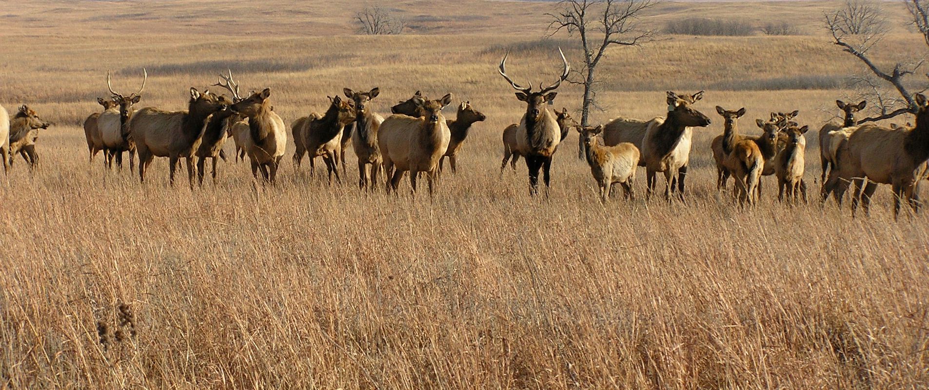 Lindsborg to Maxwell Wildlife Refuge