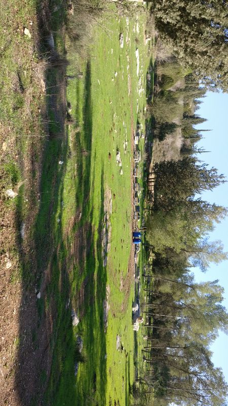 ניסיון כושל להגיע לגימזו. בוץ בכל שביל.