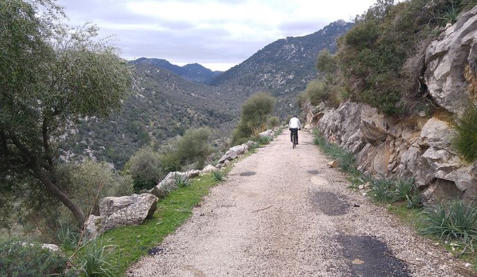 Photo 2 of the Bikemap route "Mallorca: Campanet-Selva-Lloseta-refugi de Tossals Verds-Lloseta-Biniamar-Mancor-Caimari-Campanet"