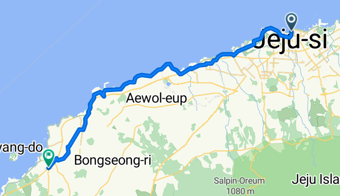 jeju1/31-2/7