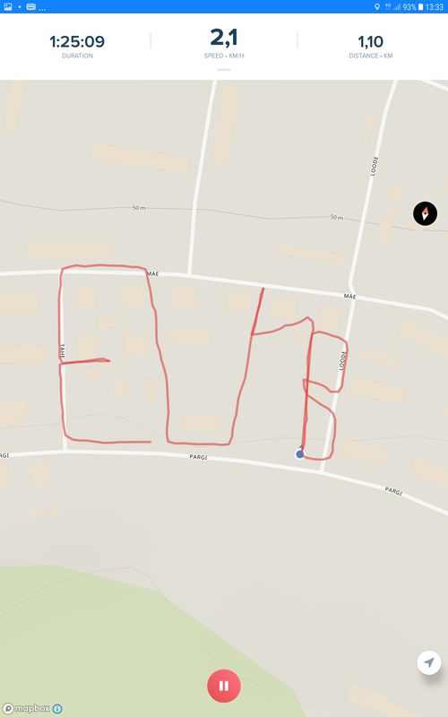 gps kunst