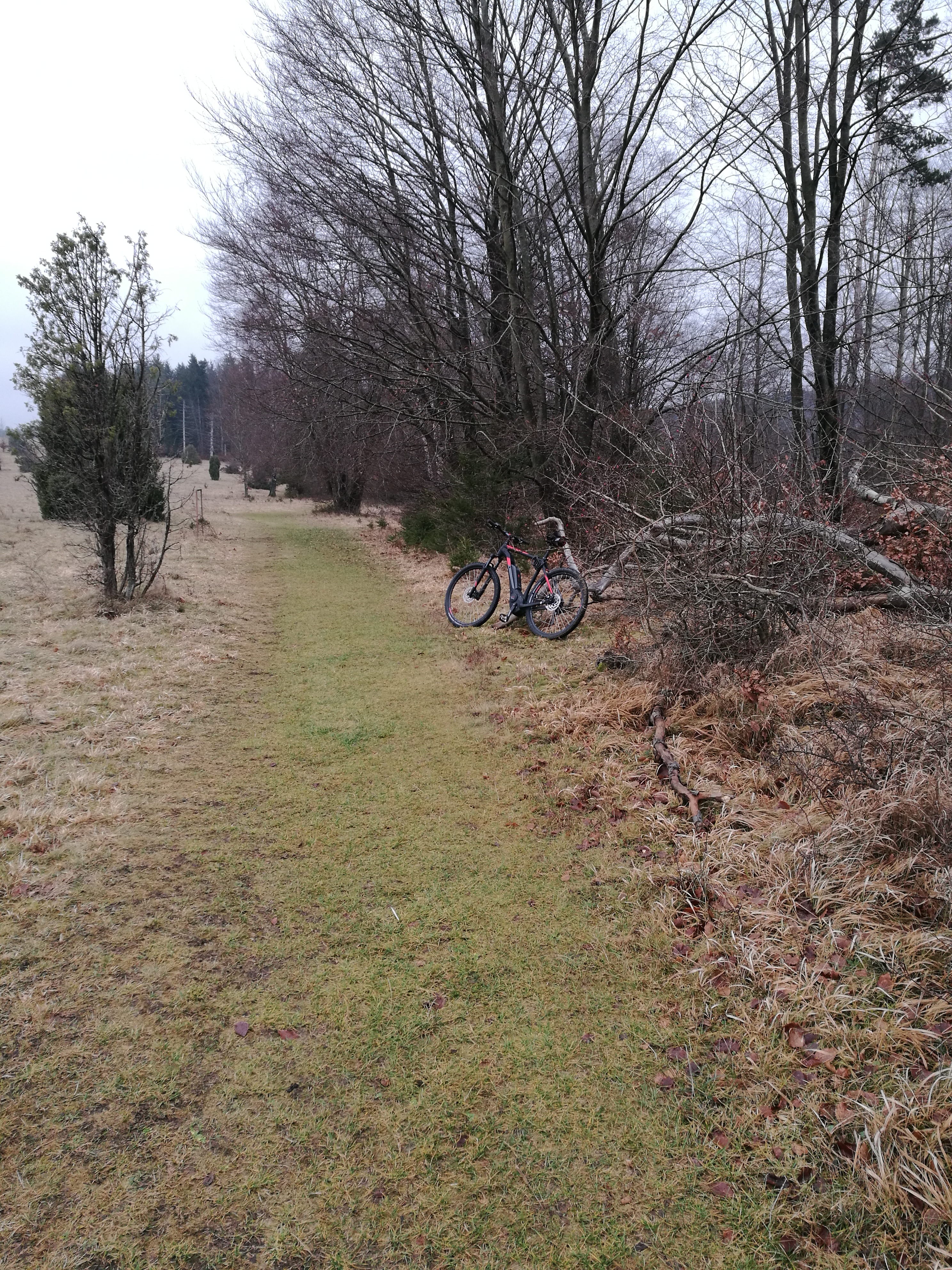 rund ums wental