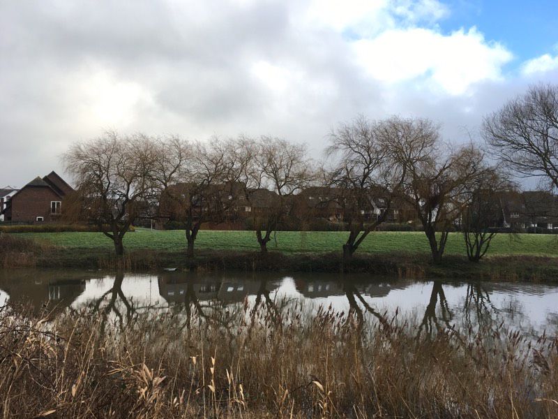 Winton - Christchurch