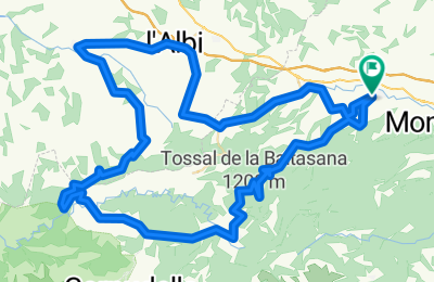 Route in der Bikemap App öffnen
