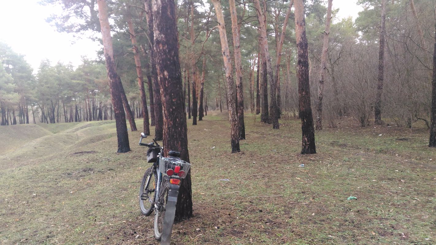 wbr 2018
