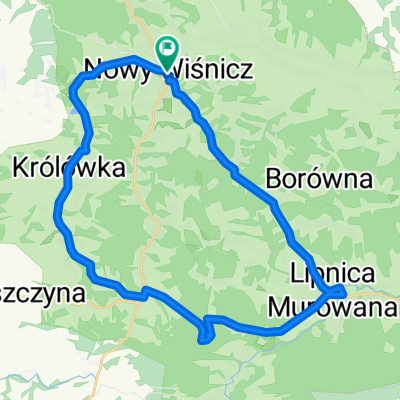 NW-Linpica-KamienieBrodzinskiego-Muchowka-Leszczyna-Krolowka-Olchawa-NW