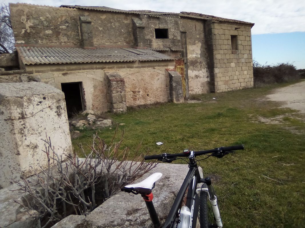la zamarrilla