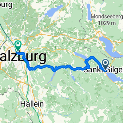 TA18#9b_Fuschlsee