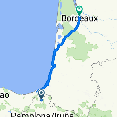 D0420 Sunbilla - Bordeaux