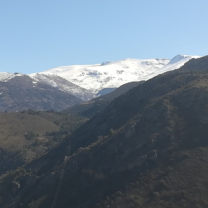 sierra nevada