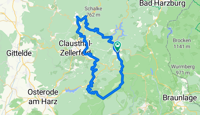 Blaubeer-Downhill_2