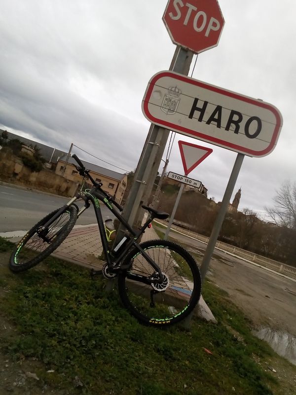 la ruta de la uva
