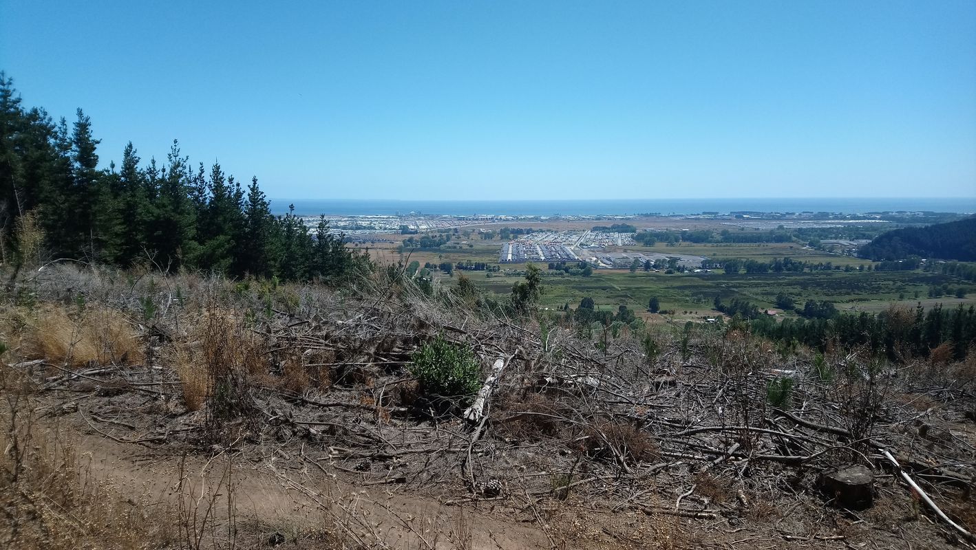 Parcela 33, Forestal Mininco, Escuadrón, Coronel