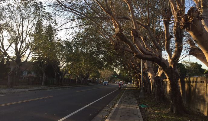 Foto 2 de la ruta de Bikemap "南投到中興新村"