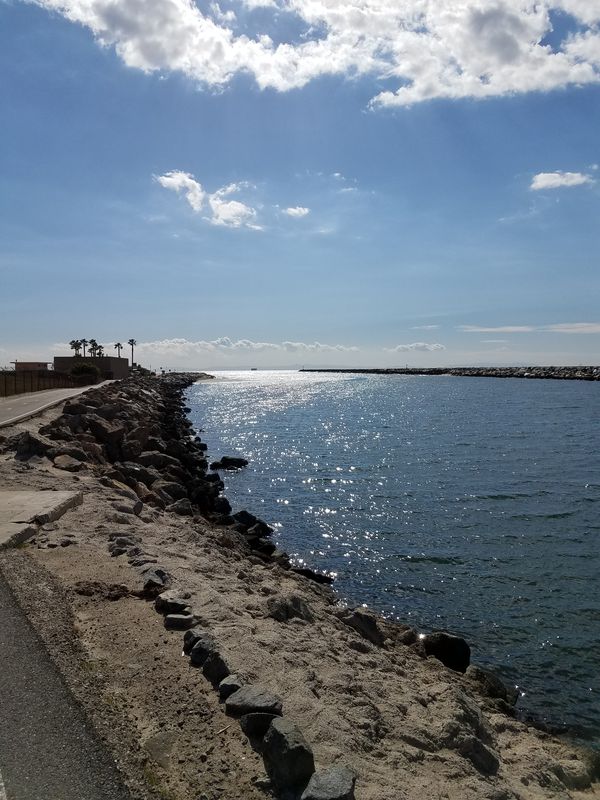 ocean