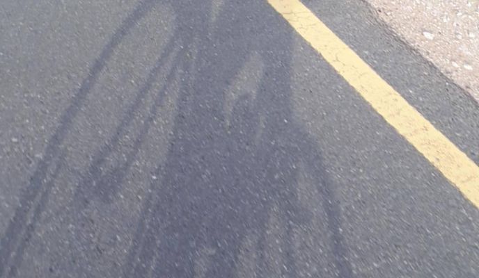 Photo 2 of the Bikemap route "al qudra cycle track dubai"