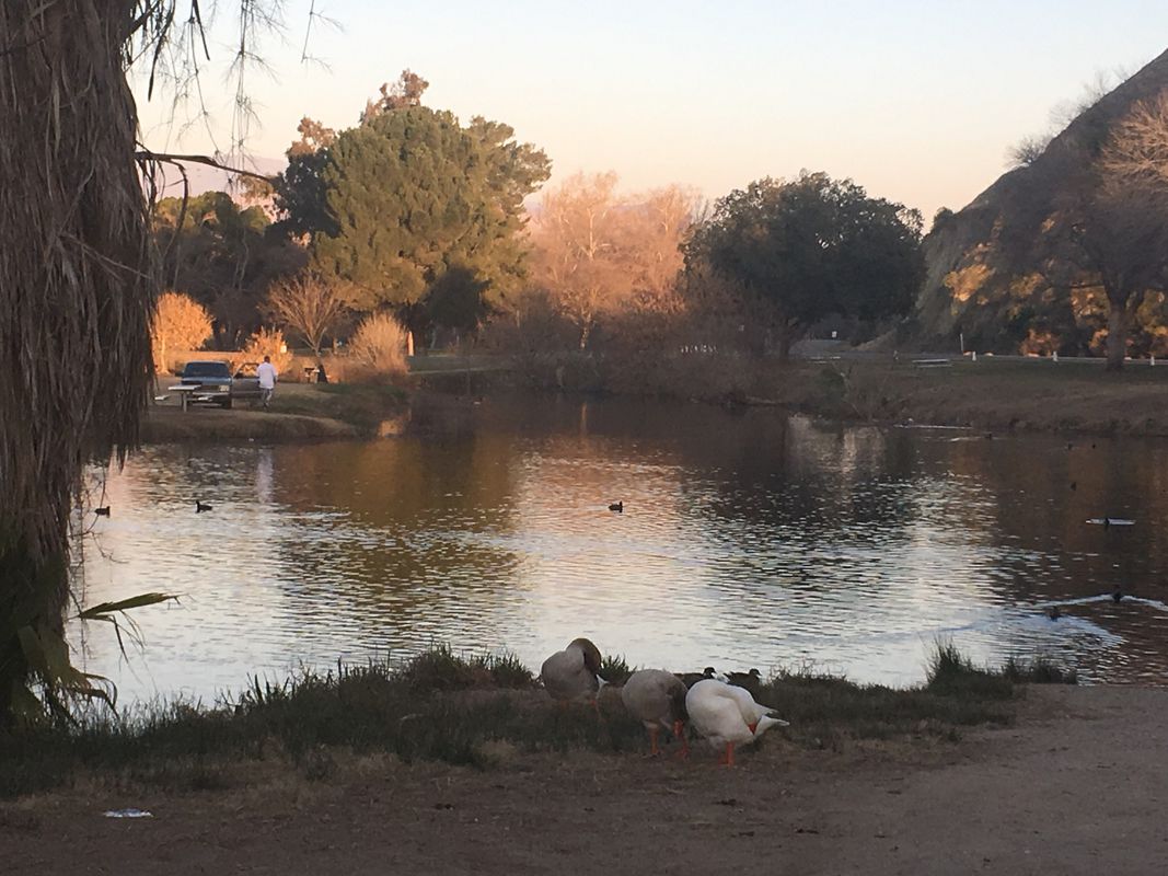Hart Park-Lake Ming loop