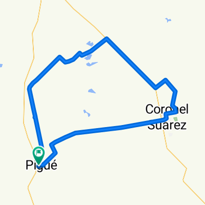 Vuelta Suárez