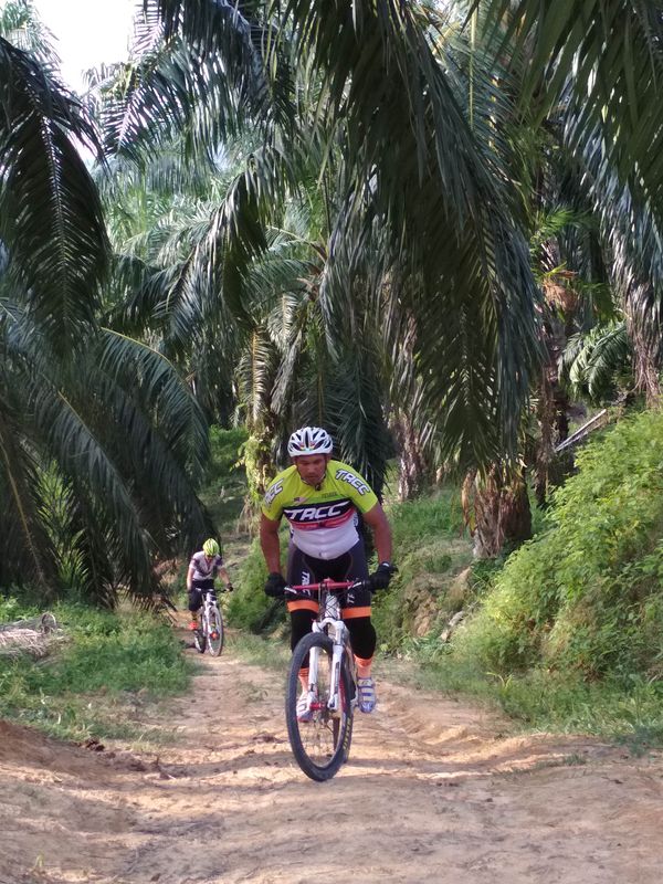 Track Ali OK