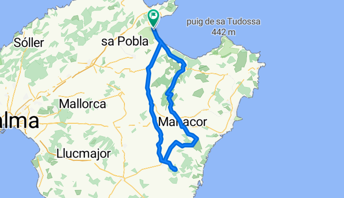 Alcudia - San Salvador