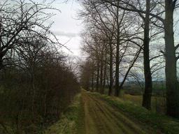 Highlight 4 along the Bikemap route "04.04.10 Weimar Ost auf Feldwegen"