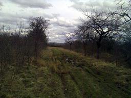 Highlight 3 along the Bikemap route "04.04.10 Weimar Ost auf Feldwegen"