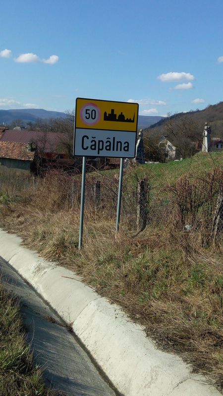o mica plimbare de primăvară