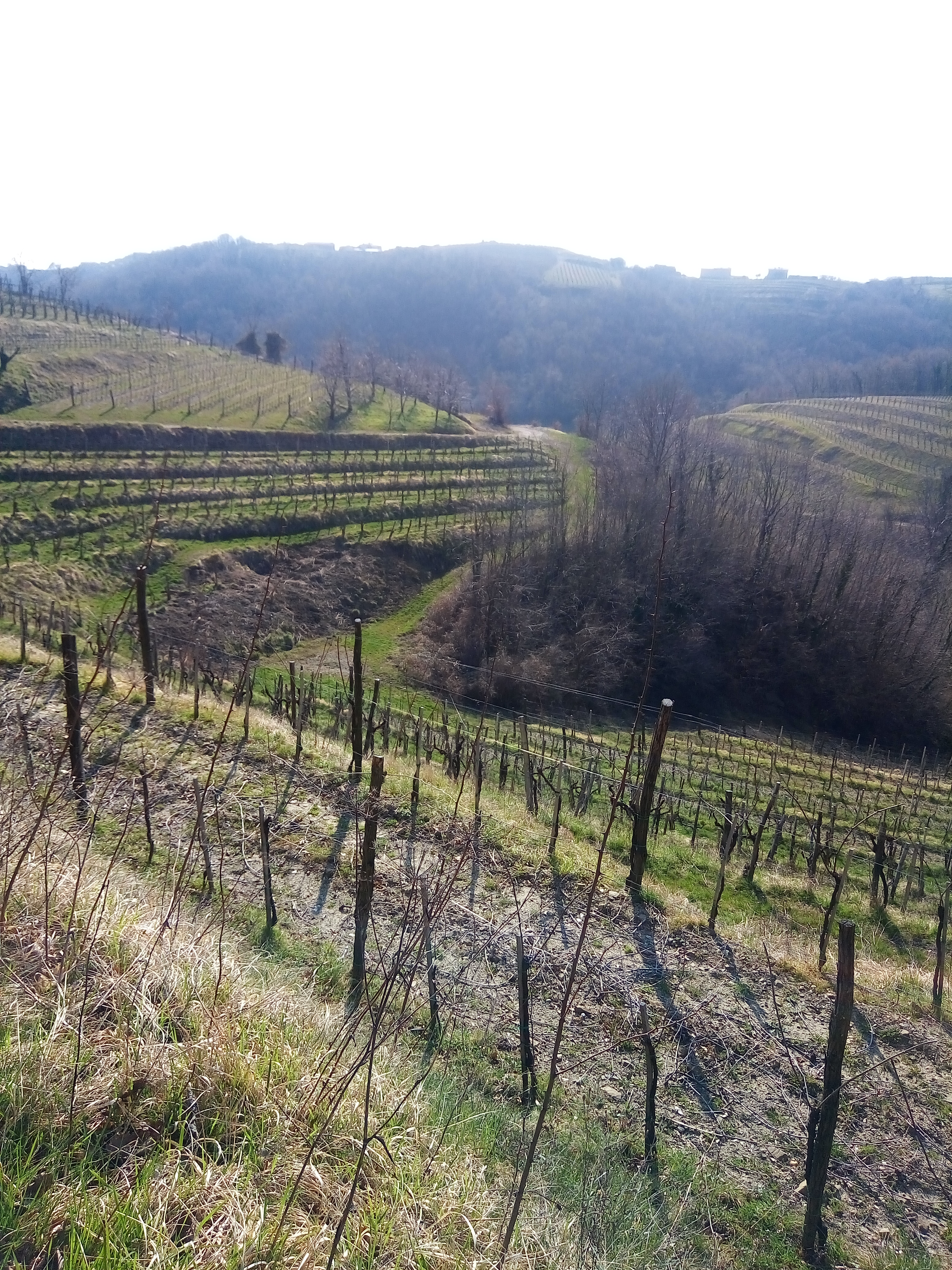 Cormons Vipolzano Hum San Floriano Cormons