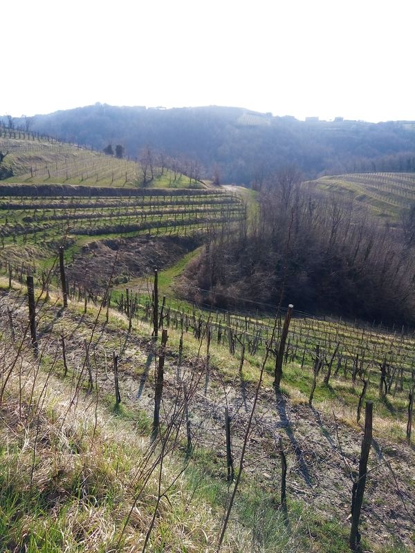 Cormons Vipolzano Hum San Floriano Cormons