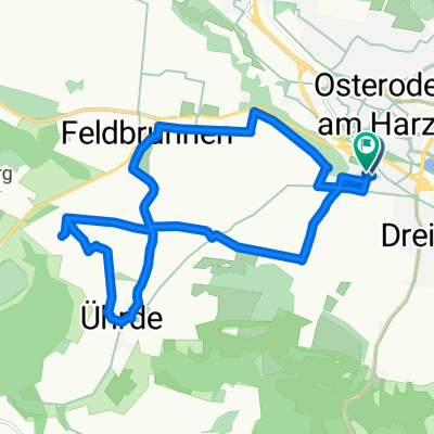 Über die Hundeköpfe
