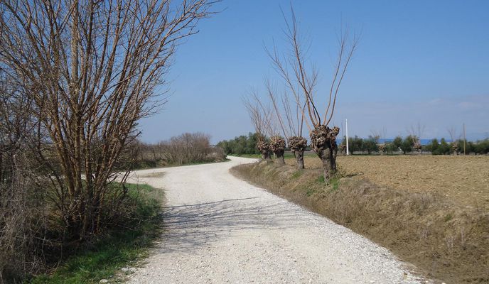 Foto 2 der Bikemap-Route "Pradamano Shopping Center"