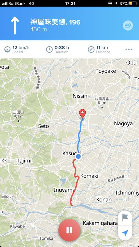 great sakura bloosm  road