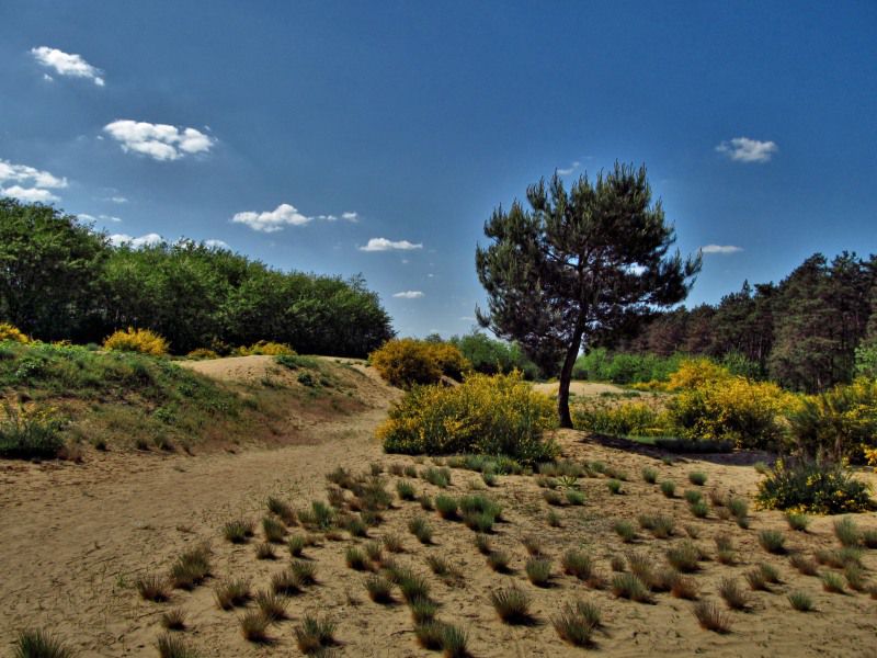 Ruta biciklijade "Bajsom i žlicom po Podravini 2018g"