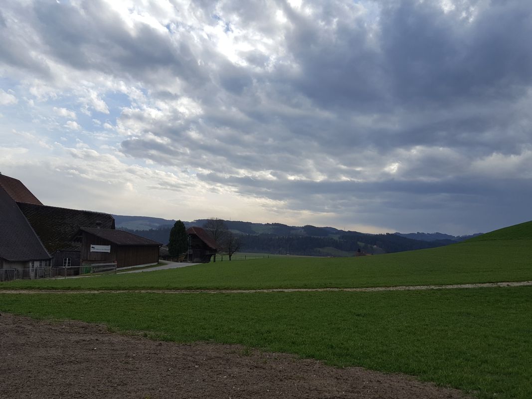 Abendtour Schaufelbühl