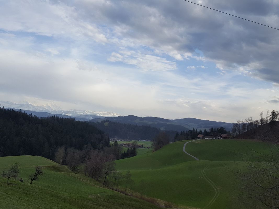 Abendtour Schaufelbühl