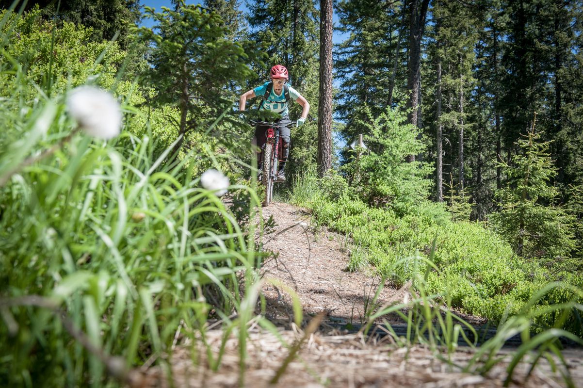 Singletrail Iss-Flow in Gerlos 