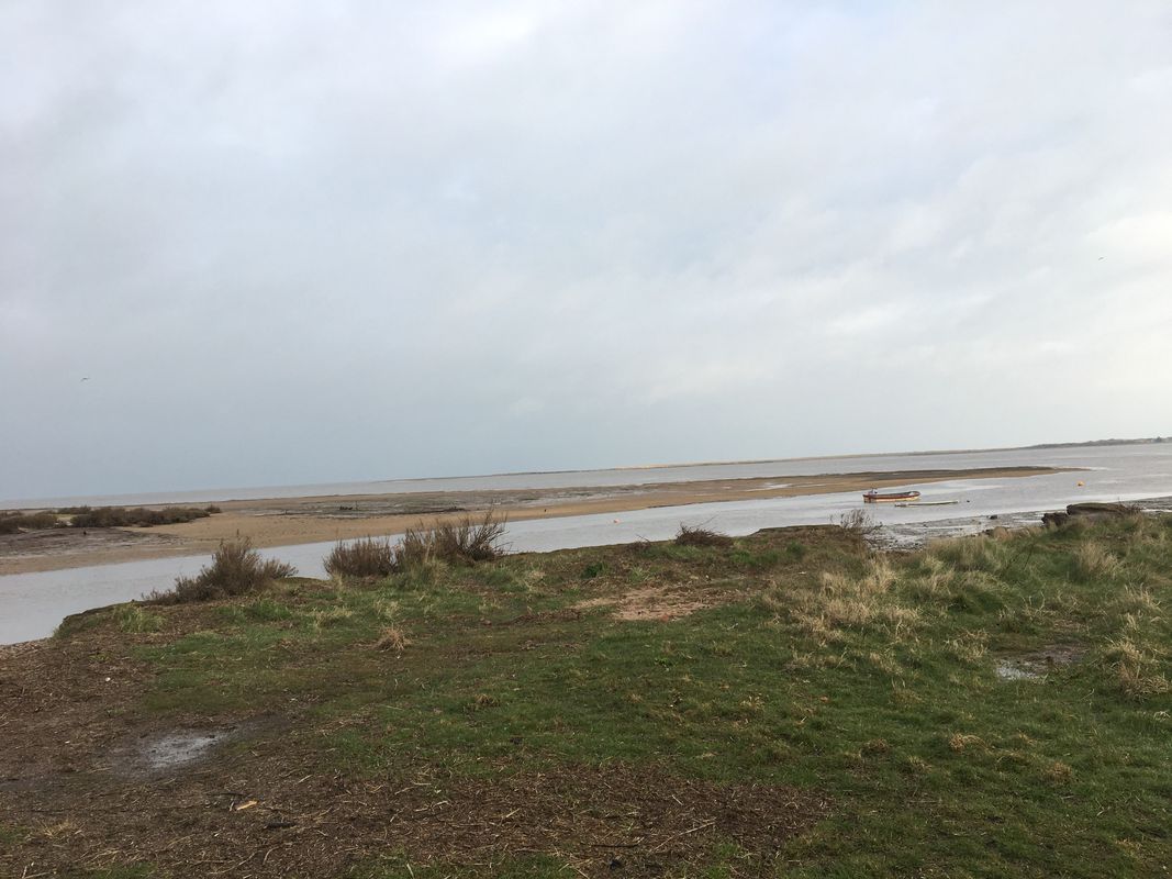 field darling, coast, morston back