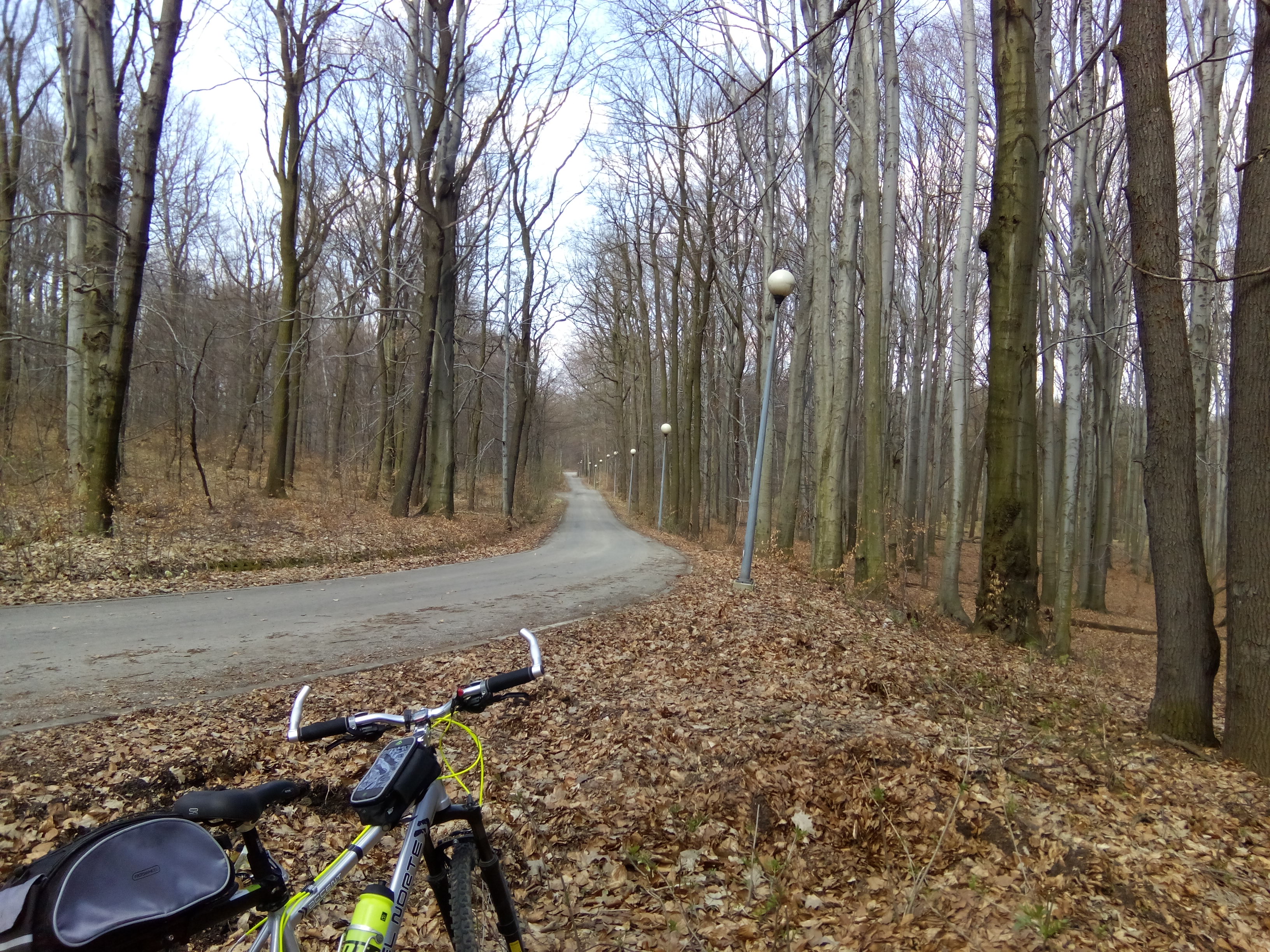 Atrakcja 2 na trasie Bikemap „2018/03 Staw Janina, Staw Barbara”