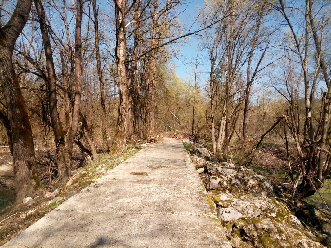 Smartno, Rasica, ob Savi, Smartno, ribnik
