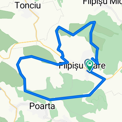 filp2018